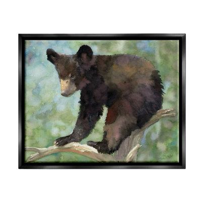 " Bear Cub Forest Tree Wildlife "
