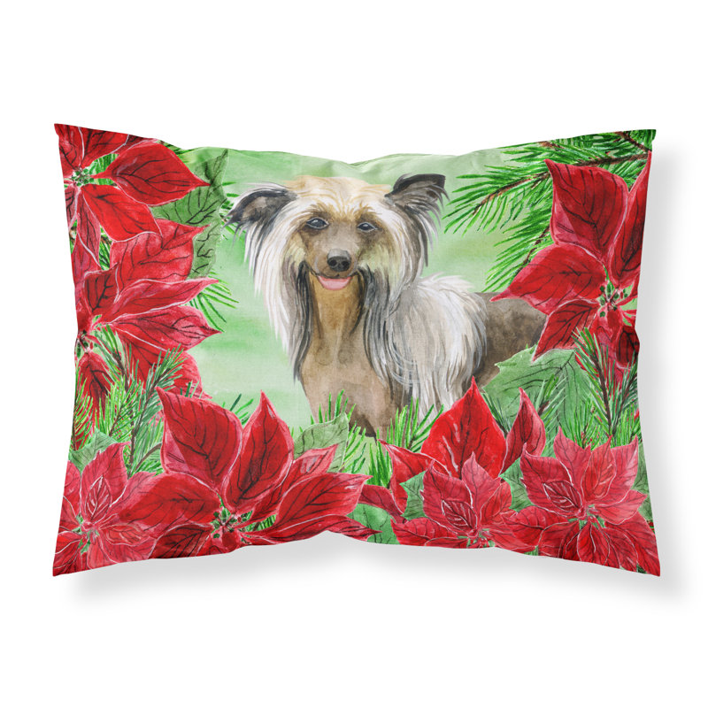 Microfiber, Chinese Crested