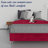 14-Inch Premium Kauly Material Wood Bed Frame, Comfortable Foundation with Acrylic Legs-88868860-88868857