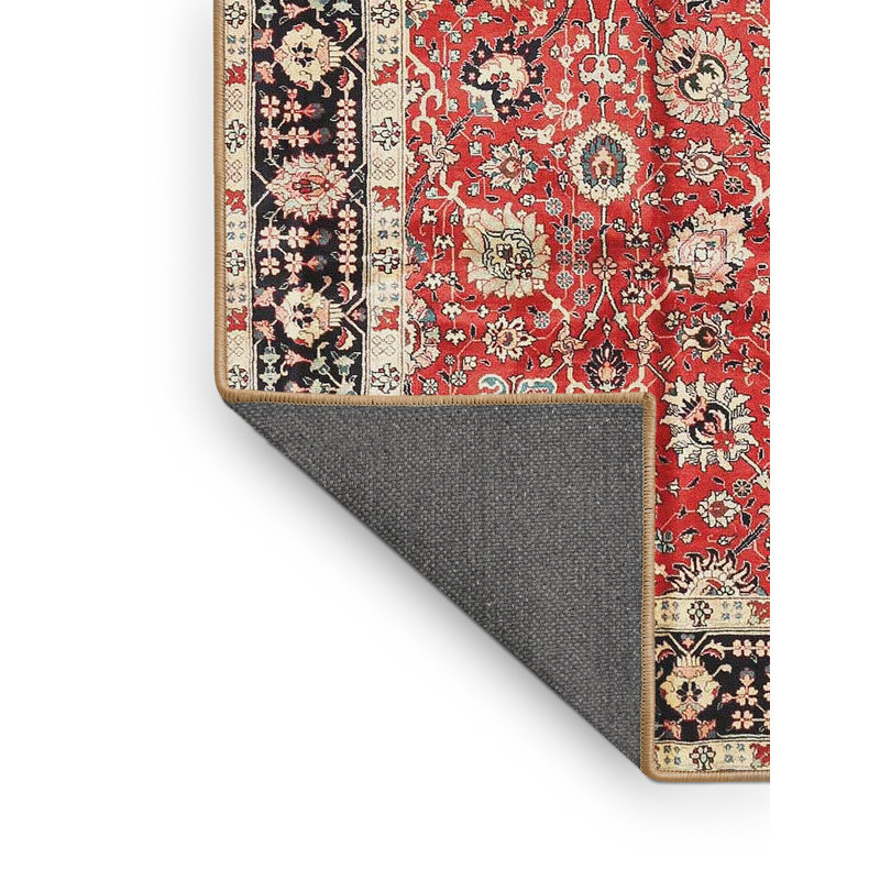 Abhay Oriental Indoor Rug, Rectangle 4' x 6'