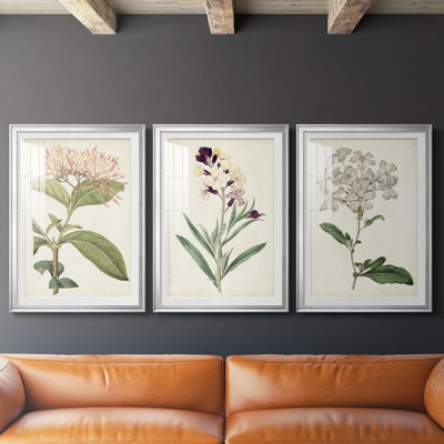Antique Botanical Collection VI  -Custom Framed  Premium Print W Matt - 3 Pieces