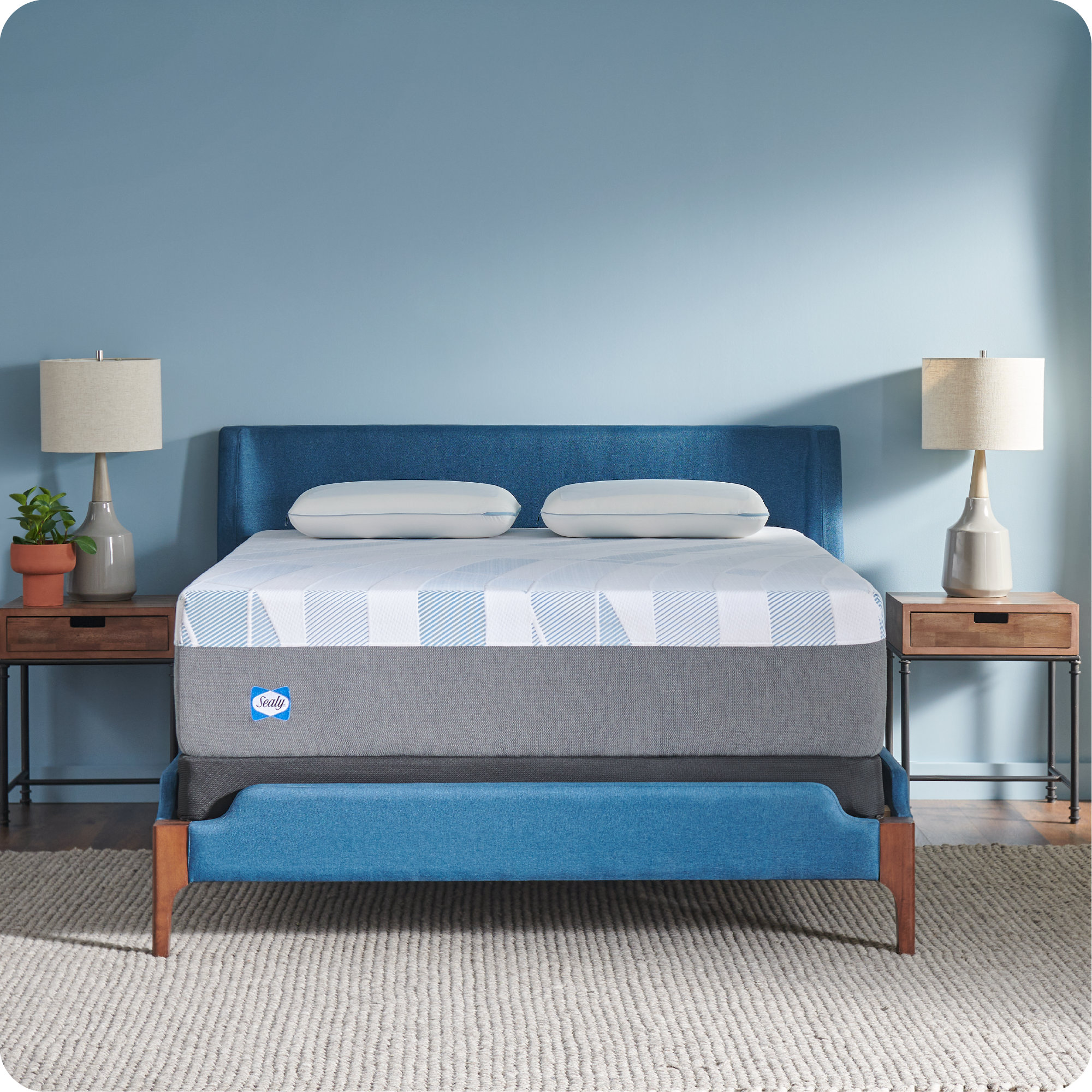 Sealy Dreamlife 14” Plush Hybrid Mattress-in-a-box & Reviews 