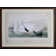 Swan I Print by Audubon