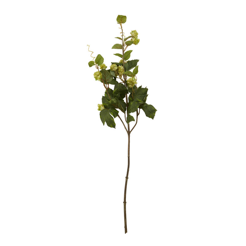 Fiori Hops Arrangement