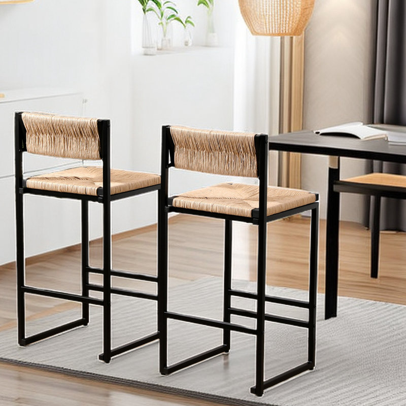 Direne 2 Paper Rope Weave Dining Chairs with Back, Honey