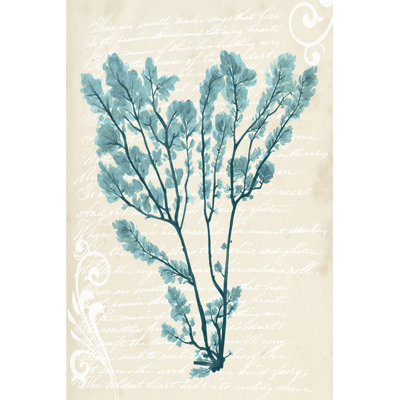 Bleu sarcelle algue V