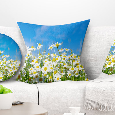 White Daisies under Bright Blue Sky - Floral Daisies Under Sky Pillow