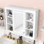 Armoire à pharmacie murale avec miroir et rangement dissimulé Eversole-736200514