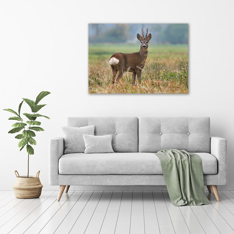 Roe - Wrapped Canvas Print