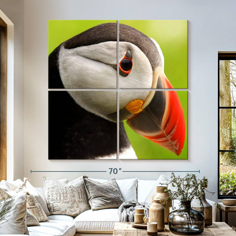 Brampt Wild Puffin, 57'' H x 57'' W
