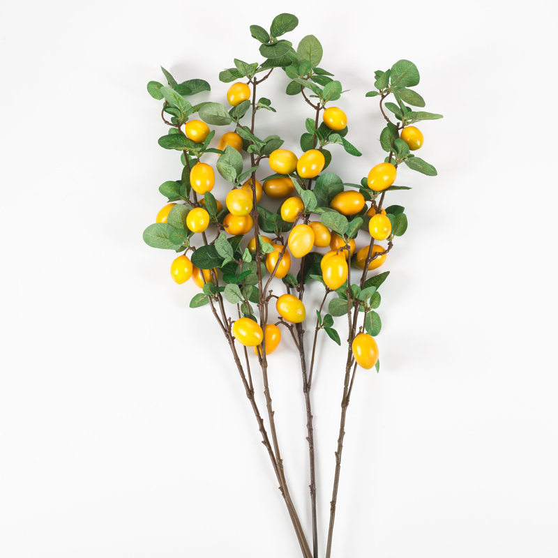 4 branches d'agrumes citron