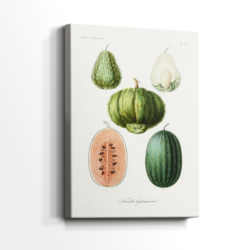 Fruit & Vegetable Varieties VIII -Gallery Wrapped Cavas, 60" H x 40" W
