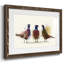 Trio de faisans-231660567-231660571