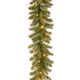 The Holiday Aisle® Downswept Douglas Garland with Lights