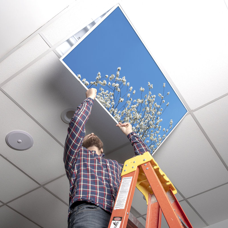 Octo Lights - Fluorescent Light Covers - Flexible Decorative Light Diffuser Panels - Tree - For Classrooms And Offices - Tree 002