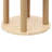 Cat Scratching Posts& Nest
