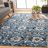 Dalrymple Performance Oriental Rug-24776680