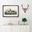 Crested Grebe by John James Audubon - Picture Frame Painting Print-55490520-55490524