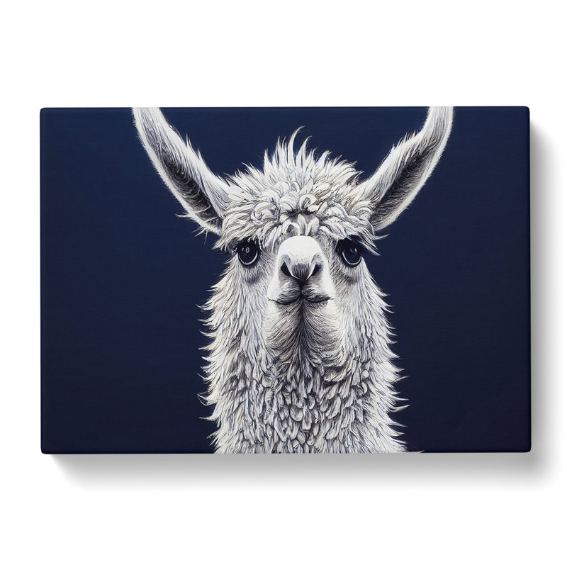 Llama Portrait - Wrapped Canvas, 35cm H x 50cm W x 3cm D