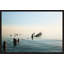 Admiring The View Print by Alicia Bock-72188113-72557476