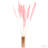 55'' Pampas Grass-613244841