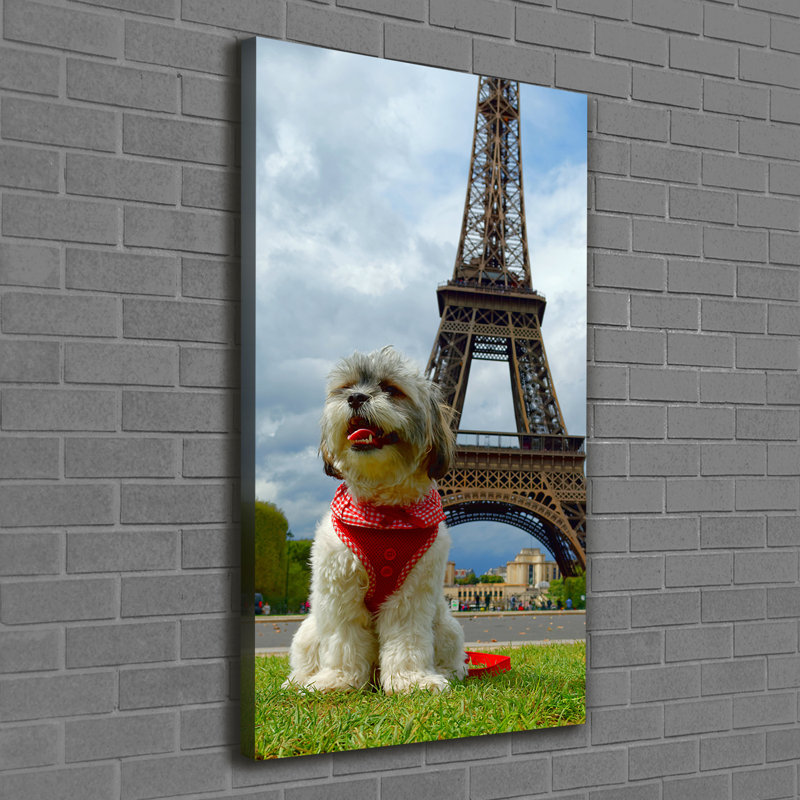 Dog In Paris - Wrapped Canvas Print