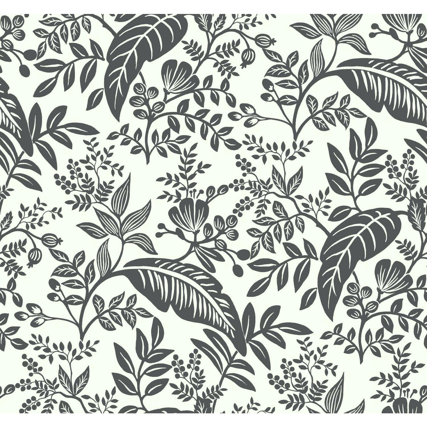 Canopy Wallpaper Double Roll, Black/White