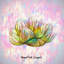 Saguaro Sunshine - reproduction sur toile tendue-144768854