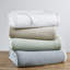 Valencia Cotton Reversible Medium Weight Matelasse Bedspread And Sham Set-106667982-106667984