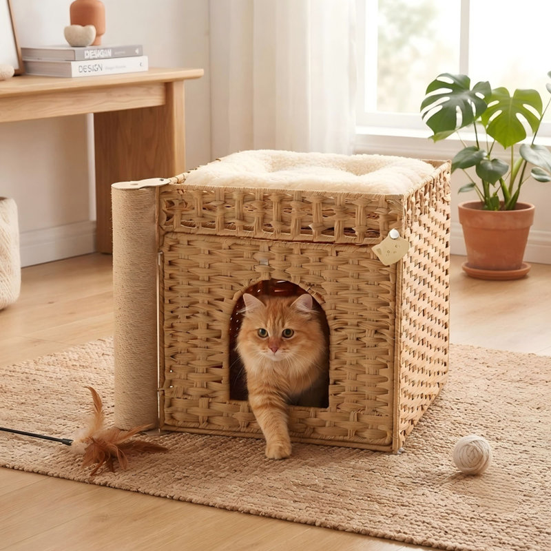 Enceinte de litière pour chat avec poteau à griffer, meuble de litière en rotin caché à la main avec tapis de litière