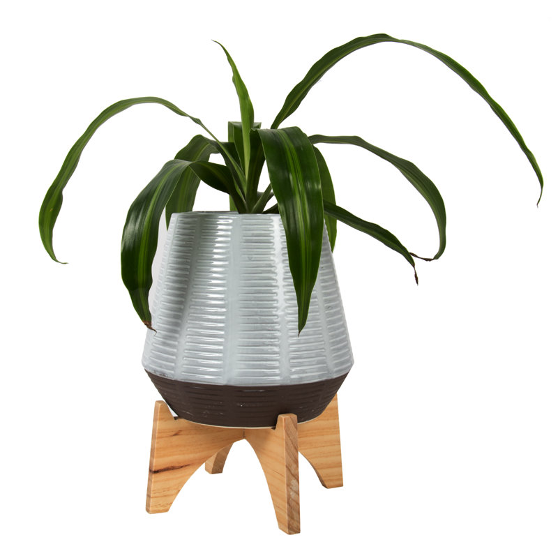 Ceramic Pot Planter, 7.75" H x 5.75" W x 5.75" D