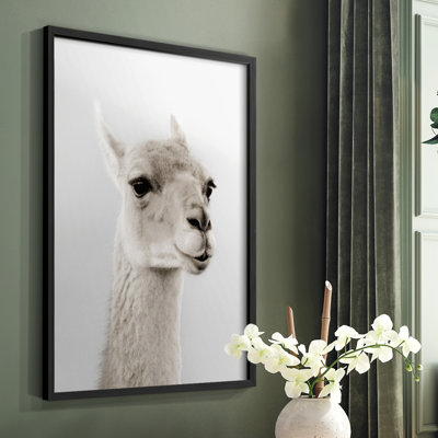 Soft Llama Framed Print - Solid Wood