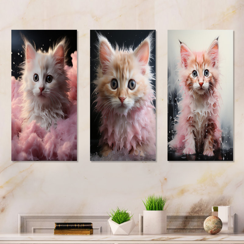 Bain pour chaton, Toile tendue, H 28 po x l 36 po