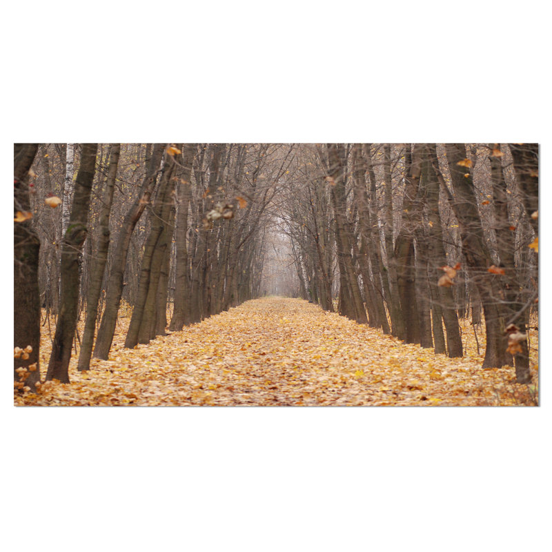 Reproduction de photo sur toile jaune, H 16 po x l 32 po