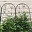 Ensemble de 4 treillis de jardin en métal 86,7 "x 19,7" antirouille pour plantes grimpantes déco papillon