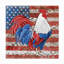 Toile d'extérieur Asam Jean Plout «American Rooster B»-87946117