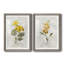 Canari lin géranium - ensemble de 2 reproductions d'art-755692023-755692011-755692021