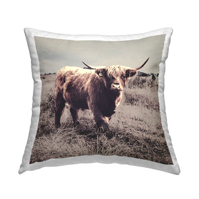Coussin Farm Farm