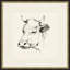 Country Cow Sketches 3 Framed Drawing Print