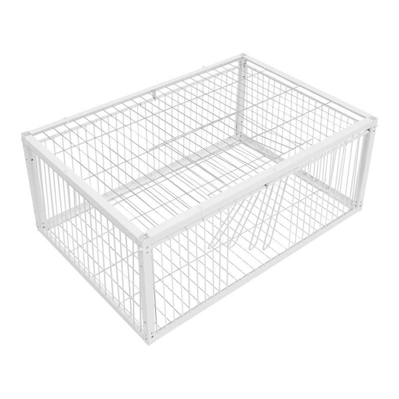 Cage en fer avec entrée à sens unique pour pigeon