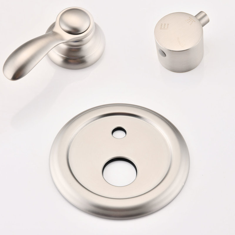 Douche luxueuse pour salle de bain en nickel brossé avec trous en caoutchouc souple et poignée pour le corps, douchette incluse