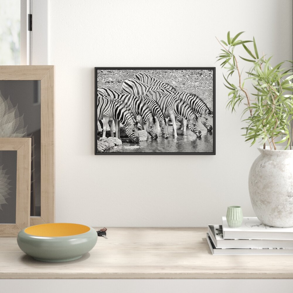 Gerahmtes Wandbild Zebrafamilie an einem Wasserloch