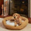 Lit pour chien Chamari Donut-364901630-364901625