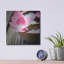 «Zen Bowl» par PhotoINC Studio-1715230252