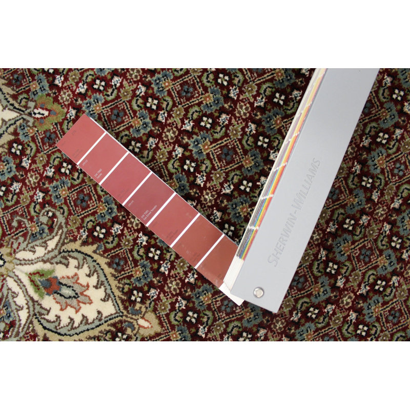 Oriental Area Rug in Red
