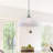 Ibtissem 1-Light Indoor Brushed Nickel Hanging Single Pendant with Alabaster Glass Bowl Shade-885285802