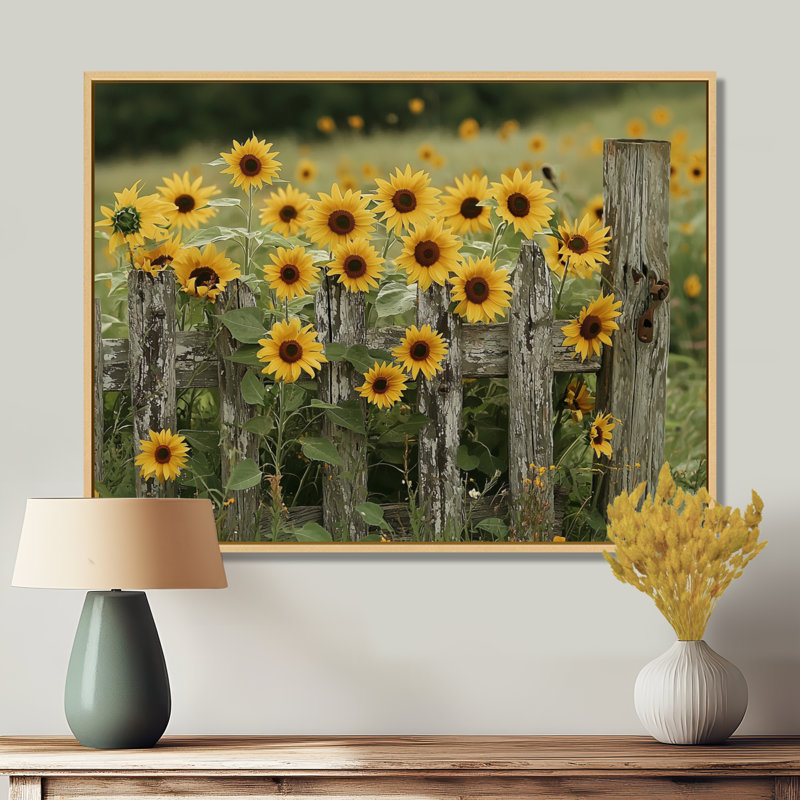 «Draxler Sunflowers And The Farm Fence II - Sunflowers», art mural sur toile, H 30 po x l 40 po, Crème, crème