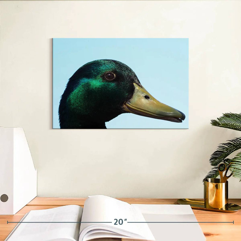 Mallard Duck Close Up, 8" H x 12" W
