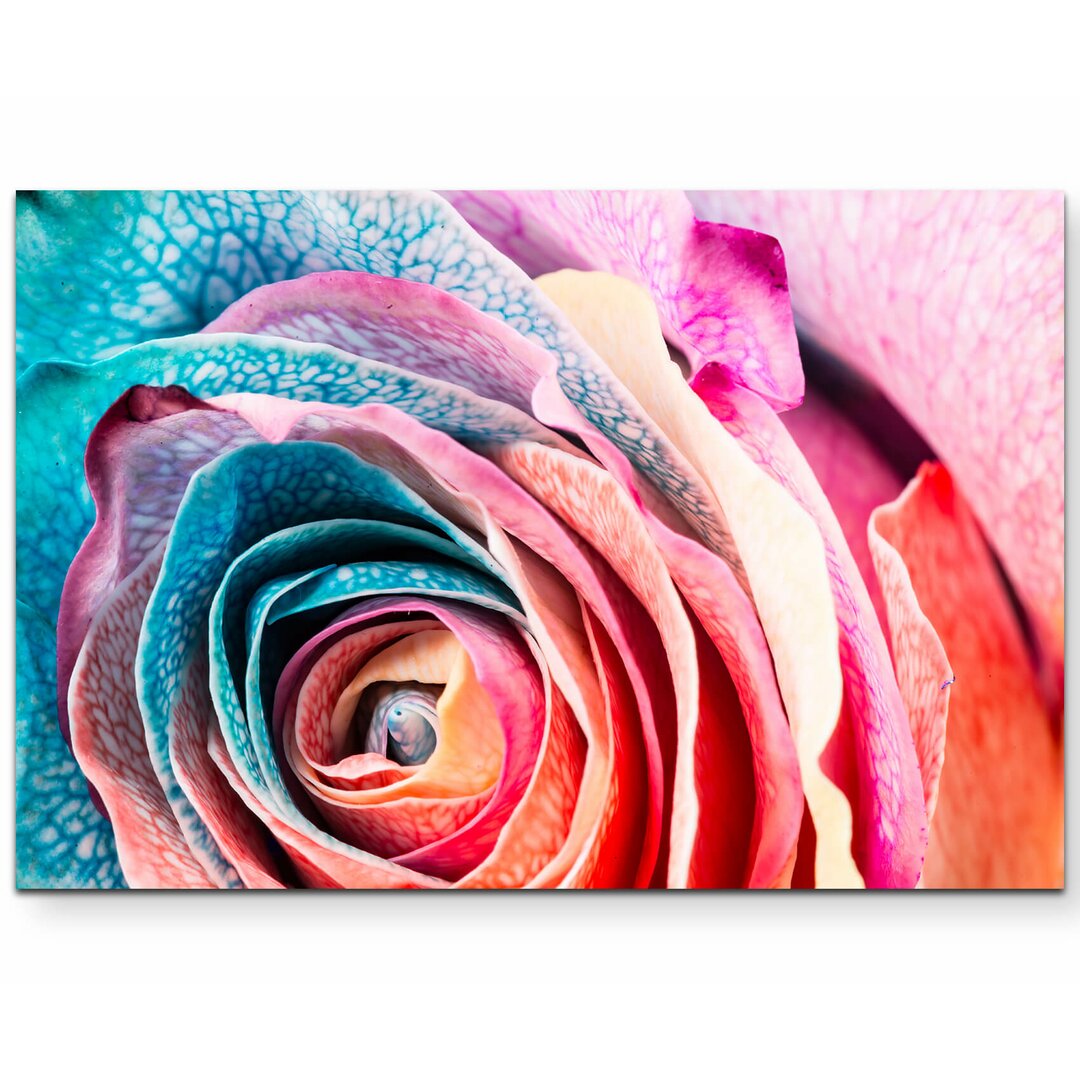 Leinwandbild Regenbogen Rose