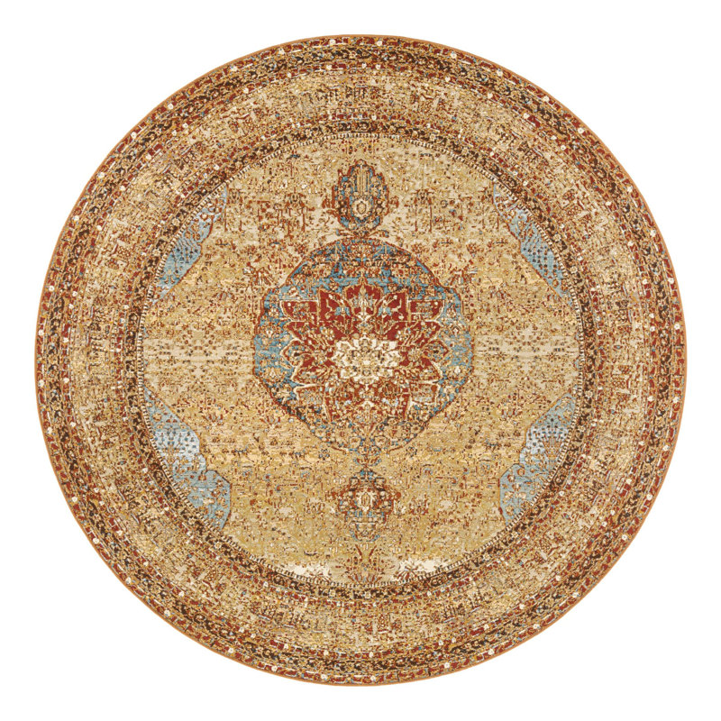 Indoor/Outdoor Traditional Area Rug, Round 7'10"
